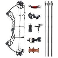 Compound Bow Complete Kit RTS