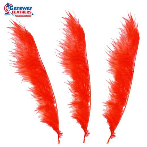 Gateway Feather Tracers 12PK